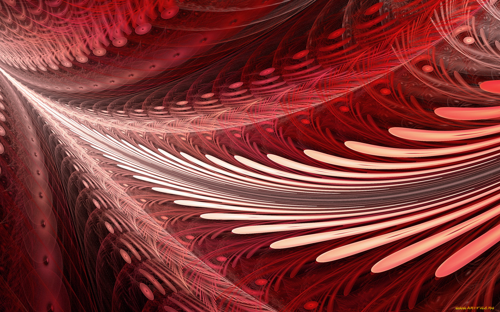 3, , fractal, , , 